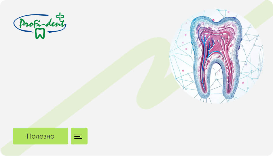 Как зубы влияют на здоровье всего организма?